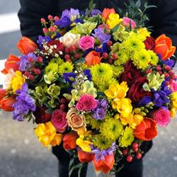 Floraria Ana, Drobeta-Turnu Severin