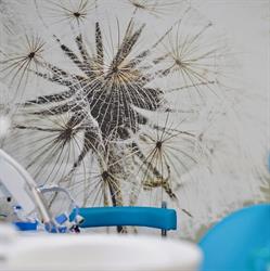 Rao Dental Studio, Hunedoara