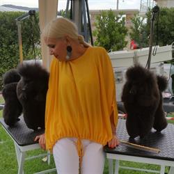 TSK PET SALON, Bucureşti