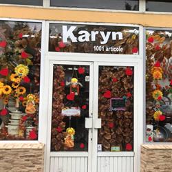 Karyn 1001 Articole, Arad