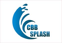 CBB SPLASH - Spalatorie Auto Margineana, Chişineu-Criş