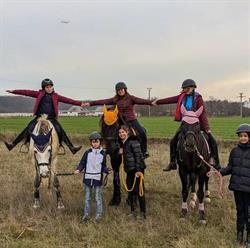 Palomino Horses, Dascălu