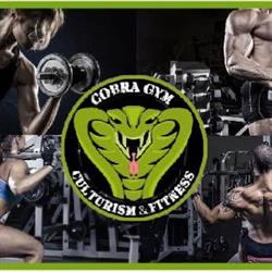 Cobra Gym, Caransebeş