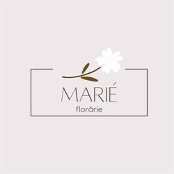 Floraria MARIÉ by Maria Bunea, Târgu Mureş