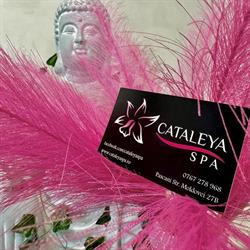 Cataleya Spa, Paşcani