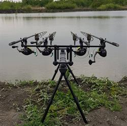 Delta Gruiului
