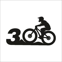 SERVICE BICICLETE BIKE 300, Buzău