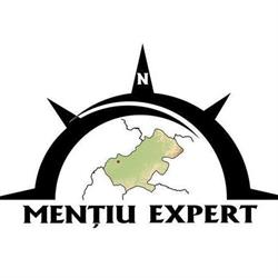 MENTIU EXPERT, Carei