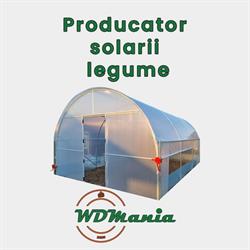 WDMania SRL, Dudu