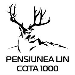 Pensiunea LIN Cota 1000, Sinaia