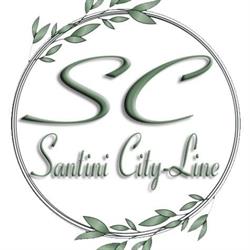 SANTINI CITY-LINE SRL, Botoşani