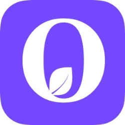 Agentie SEO - Organic Agency, Bucureşti