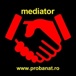 Mediator Matei Bitea, Timişoara