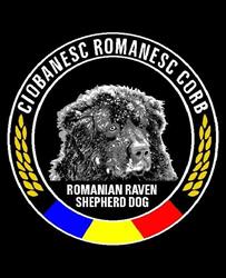 Canisa de Tara Barsei, Podu Oltului