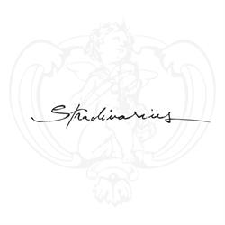 Stradivarius, Timişoara
