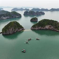 Little Hanoi, Timişoara