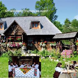 Pensiunea Rustic, Onceşti