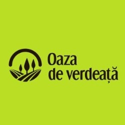 Oaza de verdeaţă, Lita