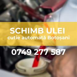 Schimb ulei cutie automata Botosani - Revizie cutie automata Botosani, Răchiţi