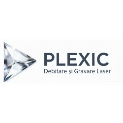 Plexic.ro, Timişoara