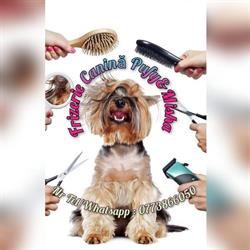 FRIZERIE CANINA PUFY&MISHA PITESTI, Smeura