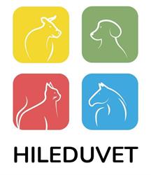 Cabinet Veterinar Hileduvet Állatorvosi Rendelő, Reghin