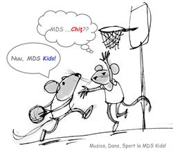 MDS Kids - Sala de sport pentru copii, Cluj-Napoca