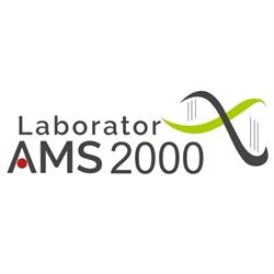 Laborator AMS 2000 Jebel