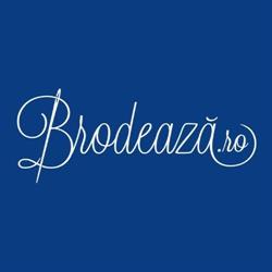 Brodează, Palota
