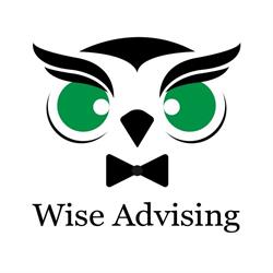 Wise Advising, Timişoara