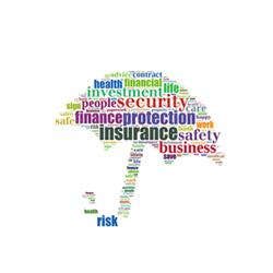 Renomia - Partener Nest Insurance Expert Brasov