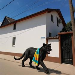 Casa Diana, Sulina