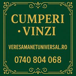 Veres Amanet Universal, Sânnicolau Mare