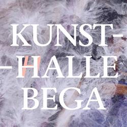 Kunsthalle Bega, Timişoara