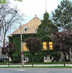 Casa cu Iederă, Timişoara