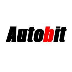 Autobit, Dej