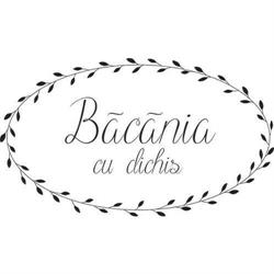 Băcănia cu Dichis, Roman