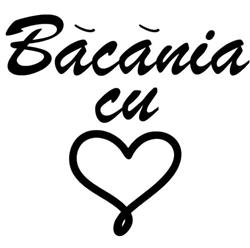 Băcănia cu inimă, Otopeni