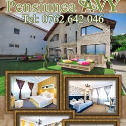 Pensiunea Avy, Haţeg