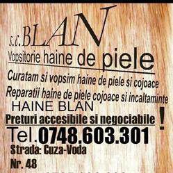 Vopsim haine piele,cojoace Reparaţii articole piele, Iaşi