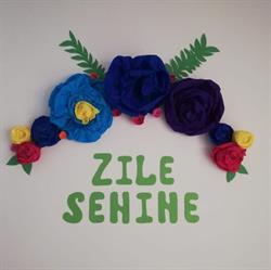 Camin de batrani Zile Senine, Bacău