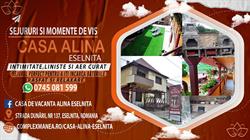 Casa Alina, Orşova