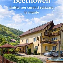 Pensiunea Casa Beethowen, Cheia