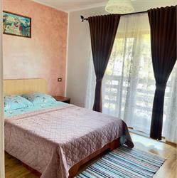 Casa Ariana, Borşa