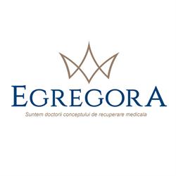 Egregora, Voluntari