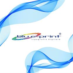 Blu.e-Print, Botoşani