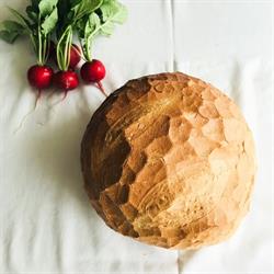 Brutaria DeKriZso, Crasna