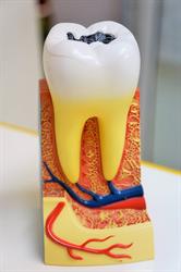 Clinica Dentara - Dr. Stamate Maria-Magdalena, Cazasu
