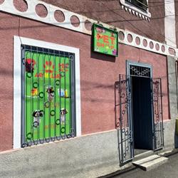 Infrumusetare Canina & Pet Shop - Reghin