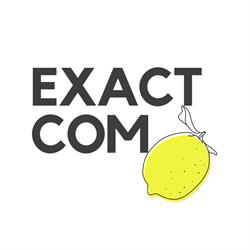 Exact com srl, Bistriţa